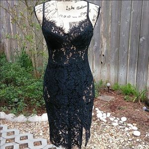 fashion nova dropping hints lace dress